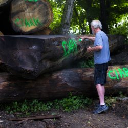 New England Naval Timbers